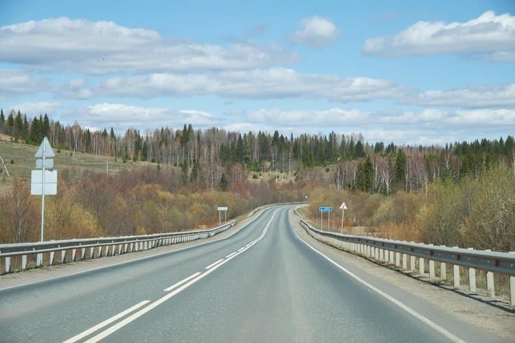 Image: Weekly vignette or annual - which choice is more profitable?